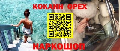 стафф Шелехов