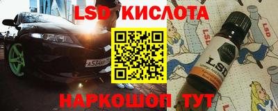 стафф Шелехов