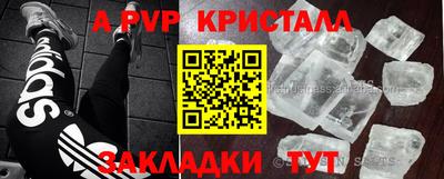 стафф Шелехов