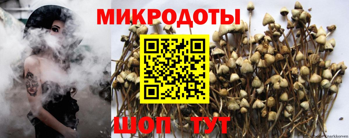 Псилоцибиновые грибы прущие грибы  Галлюциногенные грибы Psilocybine cubensis  как найти закладки  Вход с VPN  Братск 