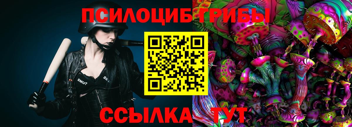 Псилоцибиновые грибы Psilocybine cubensis Братск